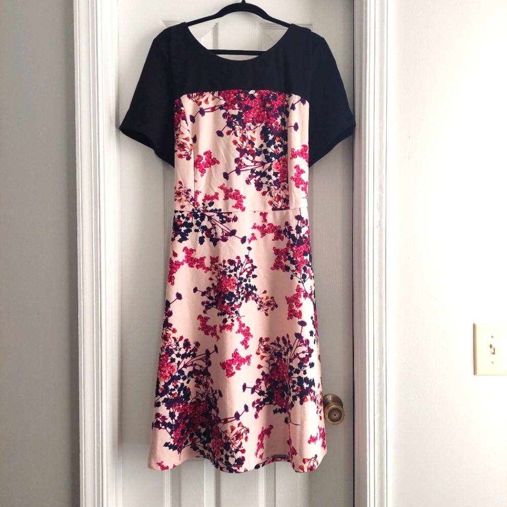 LB floral scuba fit and flare dress